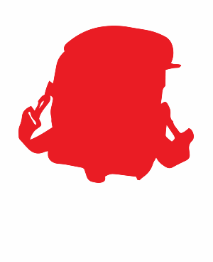 Maletas para diversos modelos de câmeras digitais